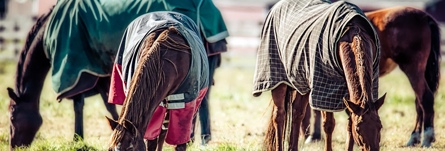 couverture pour cheval