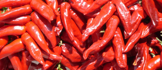 piment d'espelette AOP